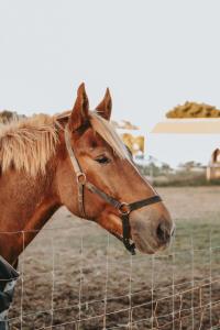 Granja Farm House