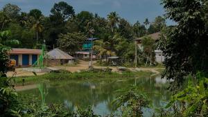 Rareeram Home Stay - Tranquil stay in Varkala