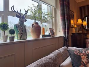 Property 472 - Kylemore