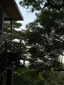 Garden Treehouse Ikhaya