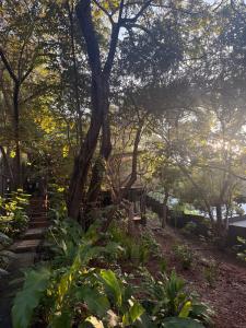 Garden Treehouse Ikhaya