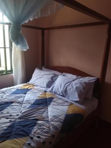 Cae Cozy Home