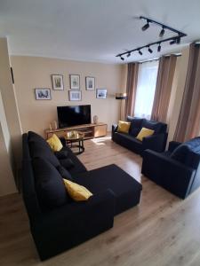 Umińskiego Spacious Apartment