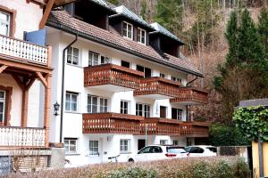 Stilvolle Fewo mit Dom-Blick & Balkon zentral in Sankt Blasien