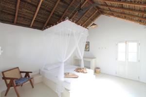 The Rascals Kite Resort