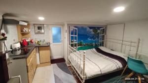 Lower ground floor Studio in Stockport