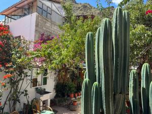 ollanta lodge