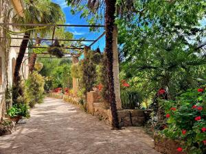 Hort Den Gelos Campanet Mallorca