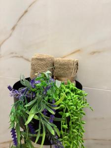 Stauroula & Thomas homes 2