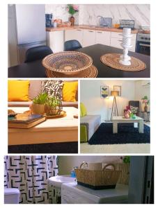 Efis House