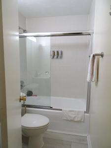 Spacious Studio Near Harvard Sq