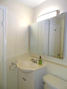 Spacious Studio Near Harvard Sq