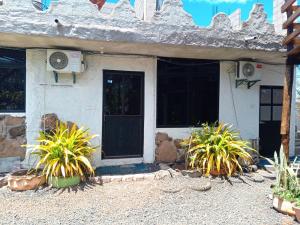 Private room for 4 people, Casa Oasis Galapagos