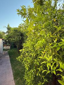 FONTANE BIANCHE 300MT fROM BEACH