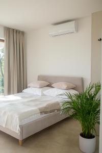 Domek Nad Jeziorem 6 osobowy