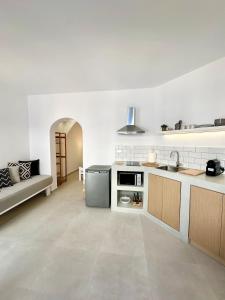 Camel Palm Collection