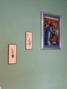 Piccolo Marconi - Giardino di Marconi