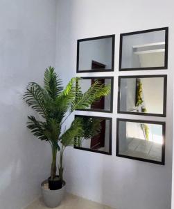 Caye Caulker Hostel