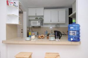 Cozy pet-friendly apartment with private BBQ area - Riobamba Chimborazo