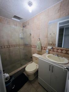 Cozy pet-friendly apartment with private BBQ area - Riobamba Chimborazo