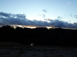 Chalet bois en pleine nature