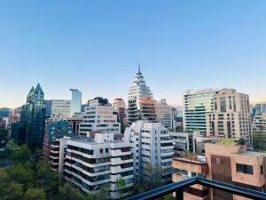 Excellent location and views Spacious 1 bedroom apartment with a sofa bed just steps from Costanera Center it features air conditioning and Wi-Fi and is situated between the El Golf and Tobalaba metro stations Free parking included