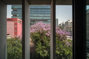 Nomu Mexico City by Lumina