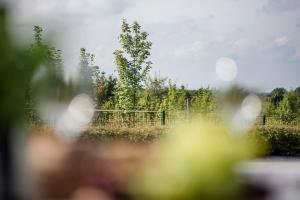 FeWo Sanfte Brise im EG mit Blick in die Natur