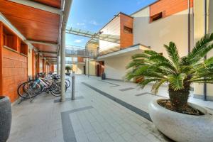 The Peace Of The Lake - Happy Rentals