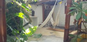 Bongosurfcamp