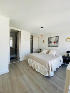 Departamento Santiago centro