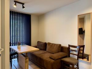 Bright 1BR Apartment with Large Terrace in Central Sofia