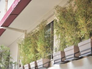 Fleeville Kozi Apartment 4