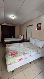 Ometepe House