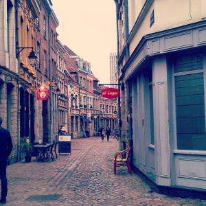 Appartements Lille Centre Ville, Beaux Arts et Grand Palais, Bienvenue chez Nestyou Lille : photos des chambres