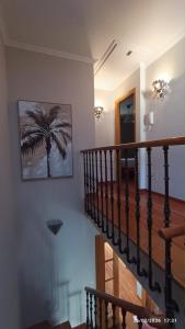 Duplex camino Inglés