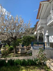 Nadias Beach House