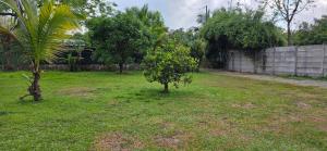 Oasis near Manuel Antonio Casa Pita Pita