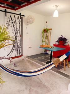 Estudio Colibri