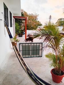 Estudio Colibri