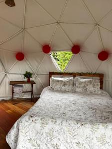 DOMO Roca Glamping Suesca