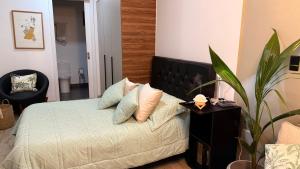Lujosas suites XOE