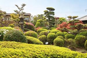 Kansai Airport Hotel Pine Villa