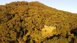 Private Ocean View Sanctuary With Wild Deer - Wollongong