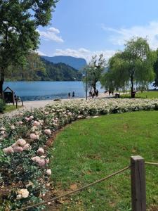 Cozy Place Lakeside