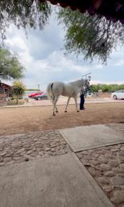 Villa Rancho el piñón
