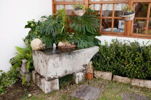 Alojamientos El Tejado