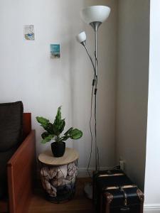 Résidence Saint Goustan - maeva Home - Studio avec mezzanine 4 personnes - Sélection MAE-3393