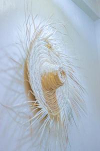 The Palm Surfhouse