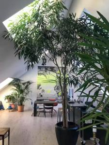 Penthouse With Plants And Art Near Kødbyen
